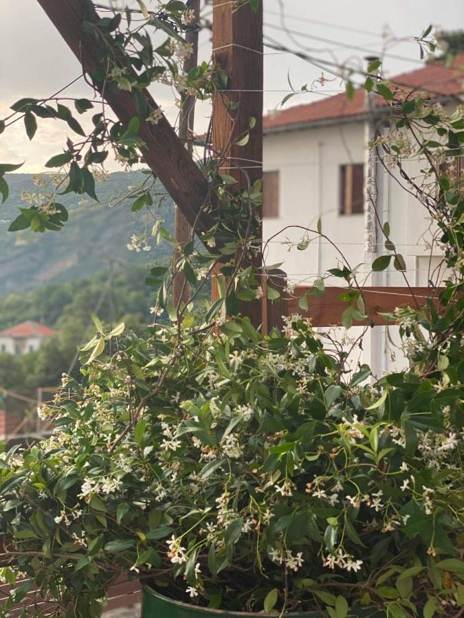 Karavos Hotel Portariá Dış mekan fotoğraf