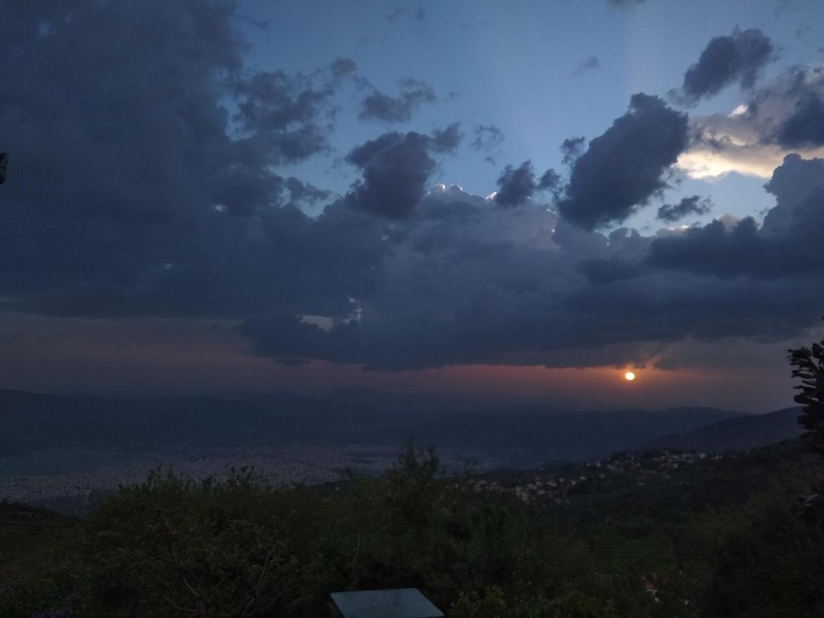 Karavos Hotel Portariá Dış mekan fotoğraf